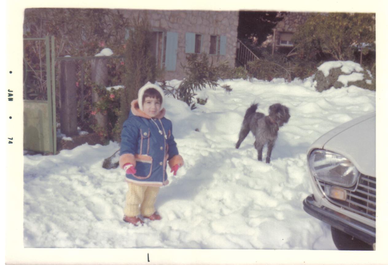 b6c2a49d-%D7%90%D7%99%D7%99%D7%9C%20%D7%99%D7%A0%D7%A7%D7%95%D7%AA%20034