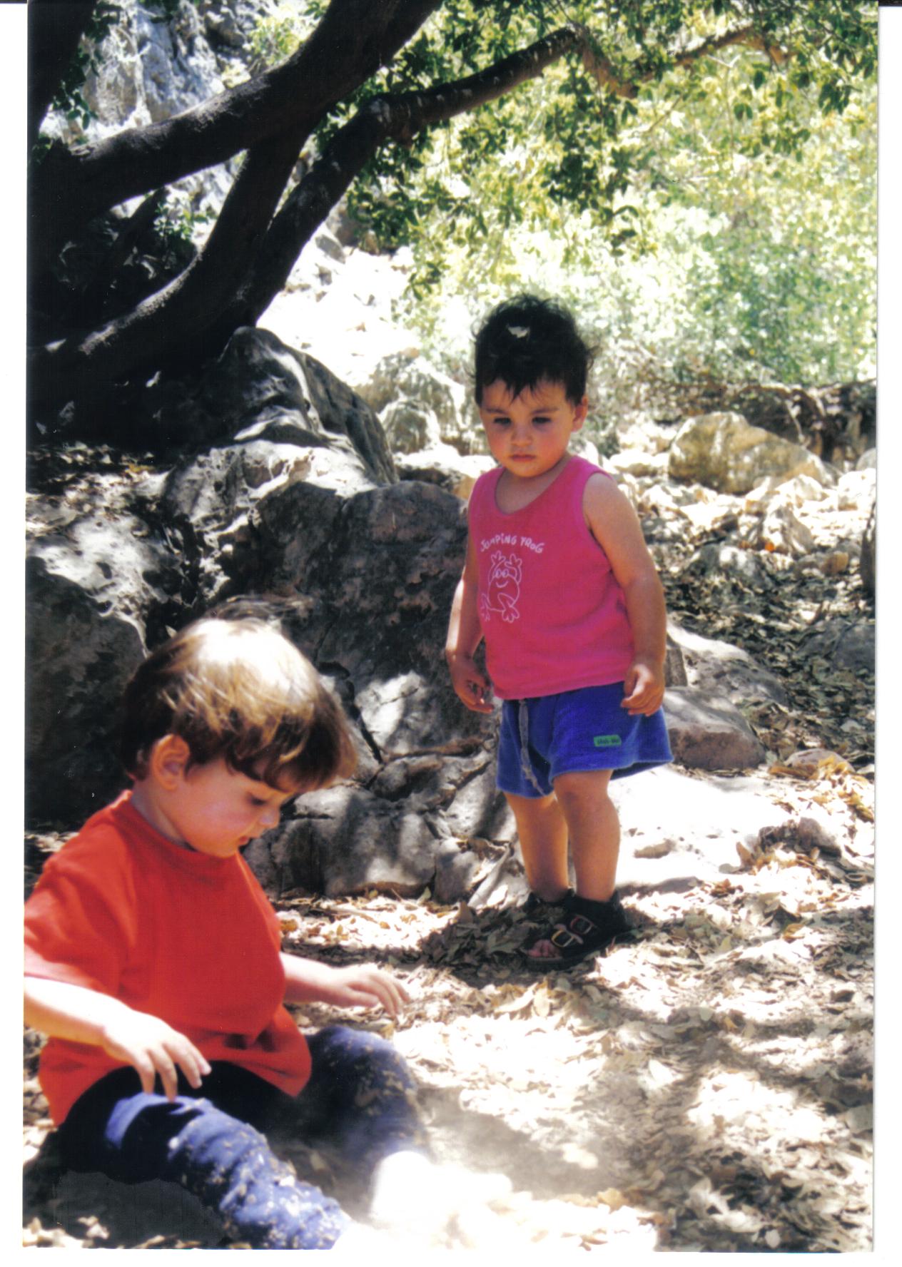 004c8f40-%D7%9E%D7%A2%D7%A8%D7%AA%20%D7%94%D7%AA%D7%90%D7%95%D7%9E%D7%99%D7%9D%20005