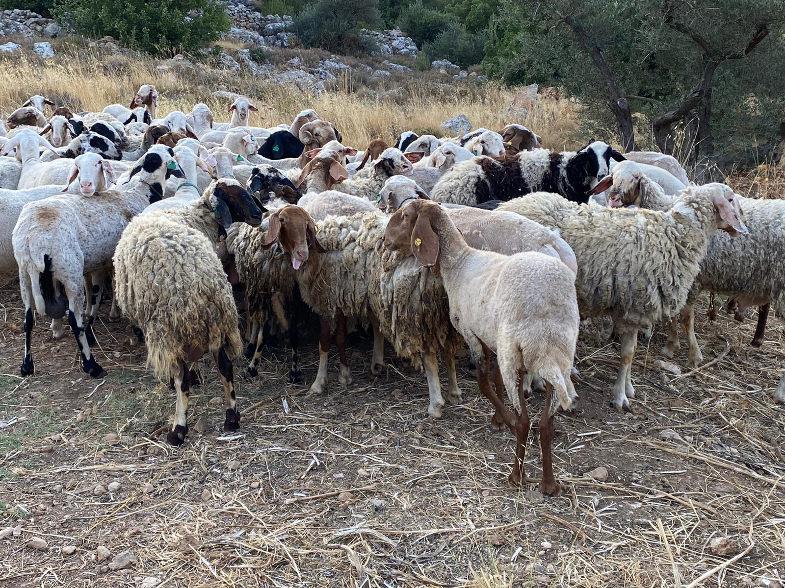 06e82152-IMG-20210613-WA0040