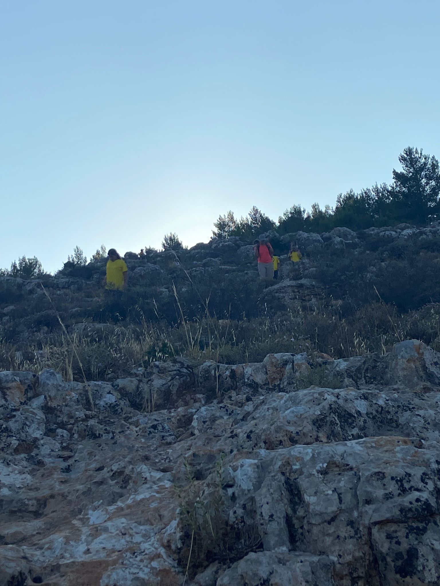 06efc3f3-IMG-20230623-WA0013