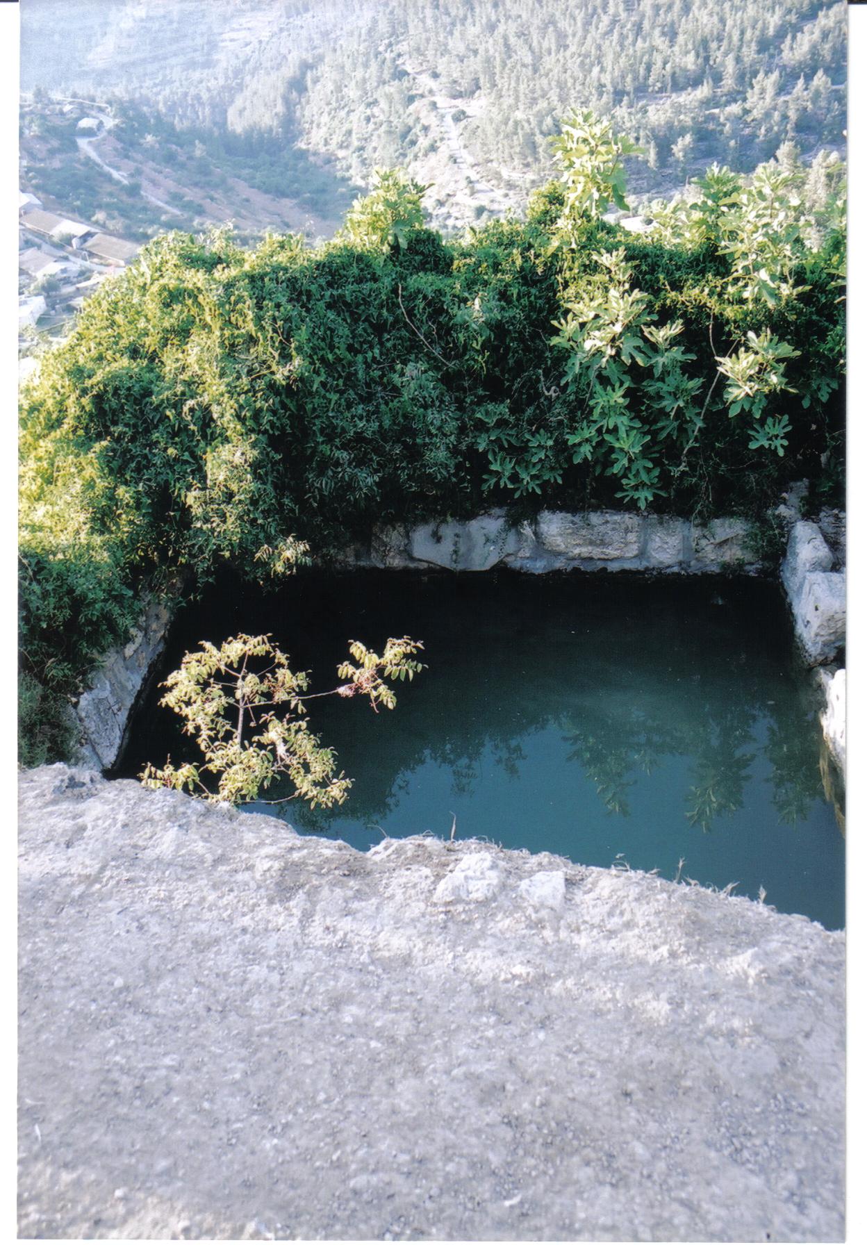 0fe8b474-%D7%9E%D7%A2%D7%99%D7%99%D7%A0%D7%95%D7%AA%20%D7%91%D7%A8%D7%9B%D7%A1%20%D7%90%D7%95%D7%A8%D7%94%20%D7%95%D7%A2%D7%9E%D7%99%D7%A0%D7%93%D7%91%20009