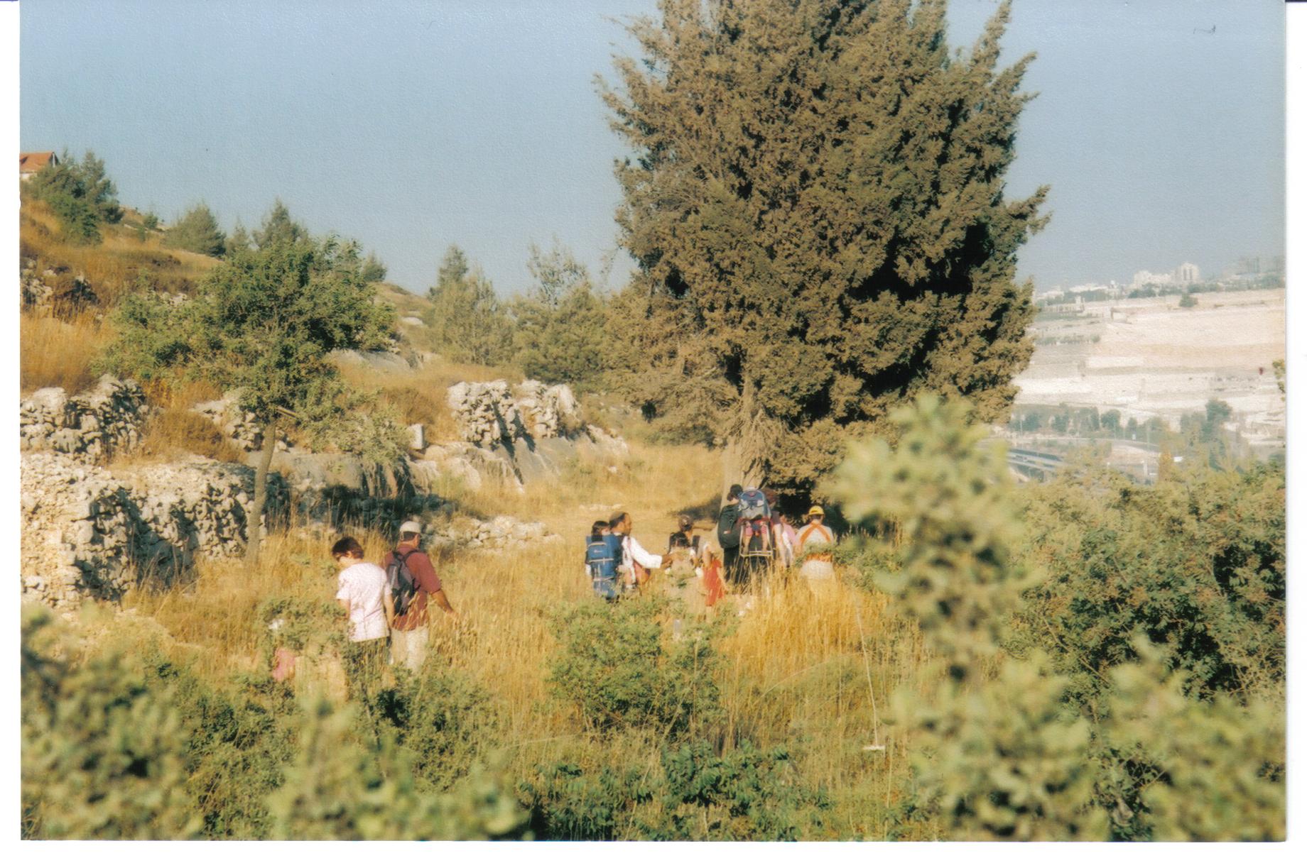 114b7e1e-%D7%A0%D7%97%D7%9C%20%D7%97%D7%9C%D7%99%D7%9C%D7%99%D7%9D%20%D7%9E%D7%9E%D7%91%D7%A9%D7%A8%D7%AA%20%D7%9C%D7%A2%D7%99%D7%A0%D7%95%D7%AA%20%D7%AA%D7%9C%D7%9D%20004