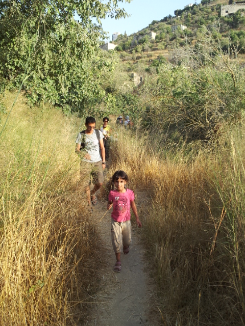 1254f203-%D7%92%20%D7%91%D7%AA%D7%9E%D7%95%D7%96%20%D7%AA%D7%A9%D7%A2%D7%9131