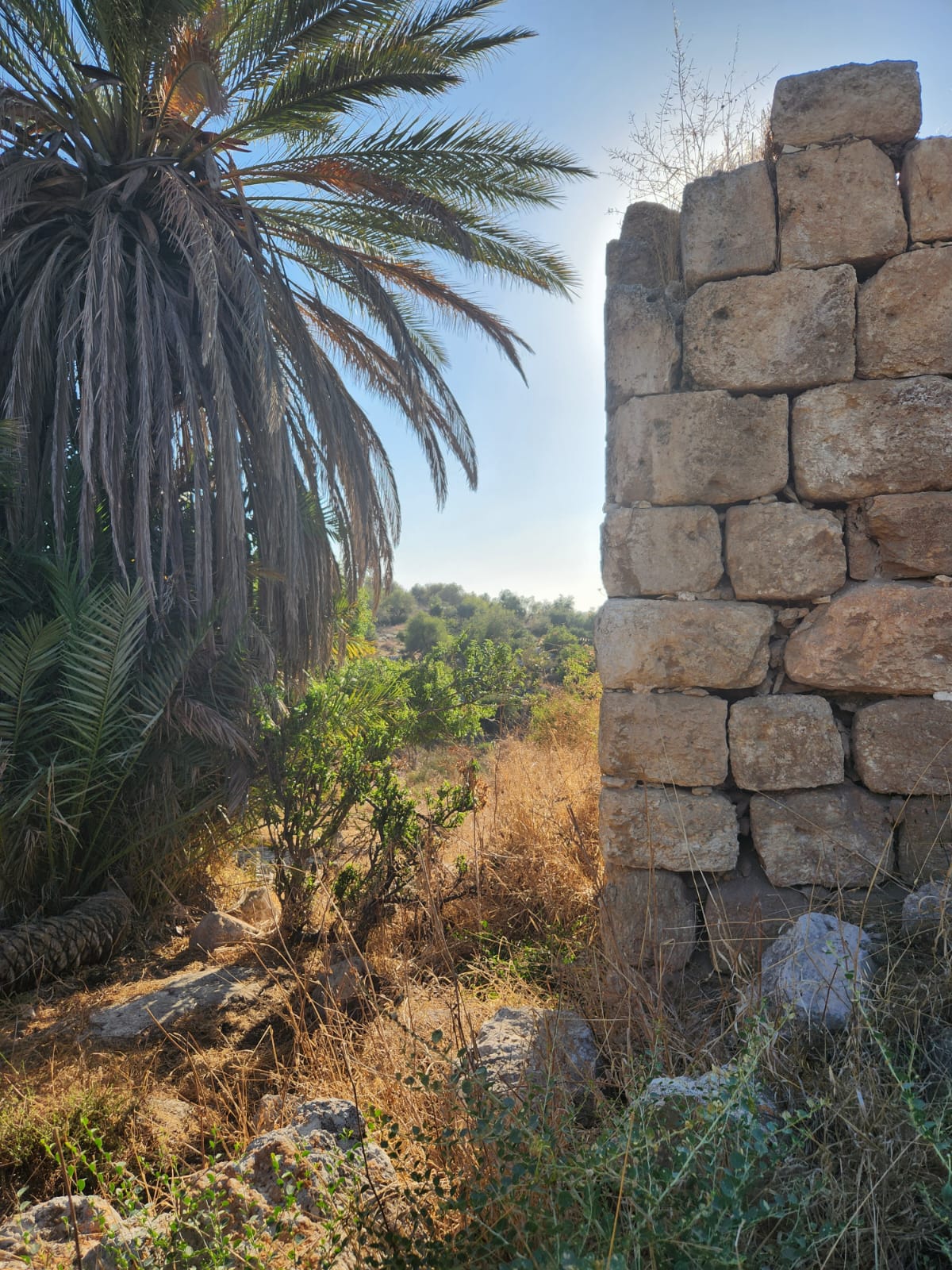 12e8e5aa-IMG-20240709-WA0023