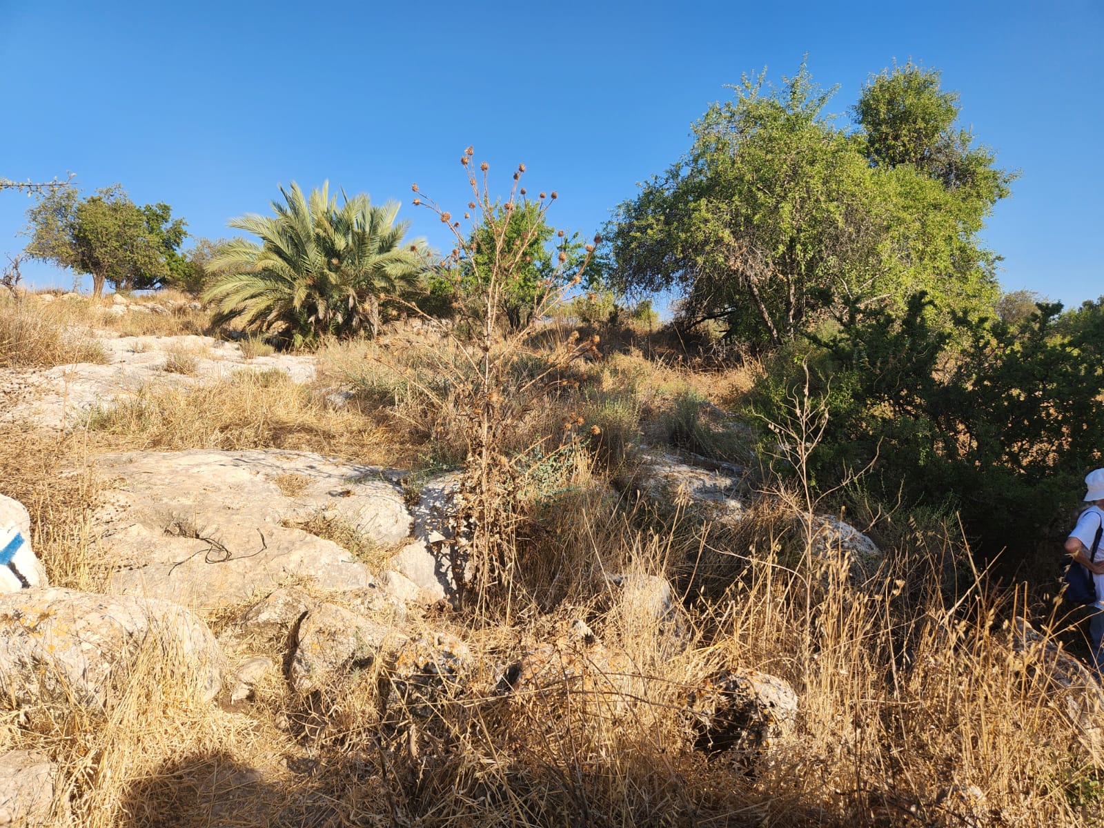 14c98b82-IMG-20240709-WA0019