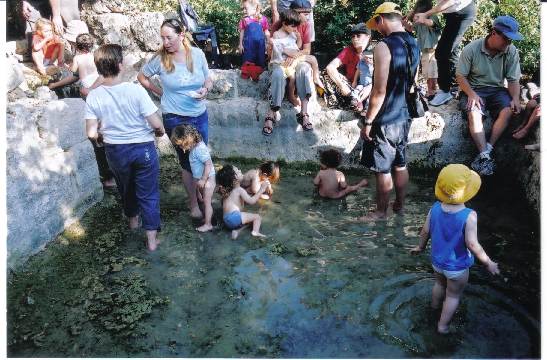 16089501-%D7%9E%D7%A2%D7%99%D7%99%D7%A0%D7%95%D7%AA%20%D7%91%D7%A8%D7%9B%D7%A1%20%D7%90%D7%95%D7%A8%D7%94%20%D7%95%D7%A2%D7%9E%D7%99%D7%A0%D7%93%D7%91%20008