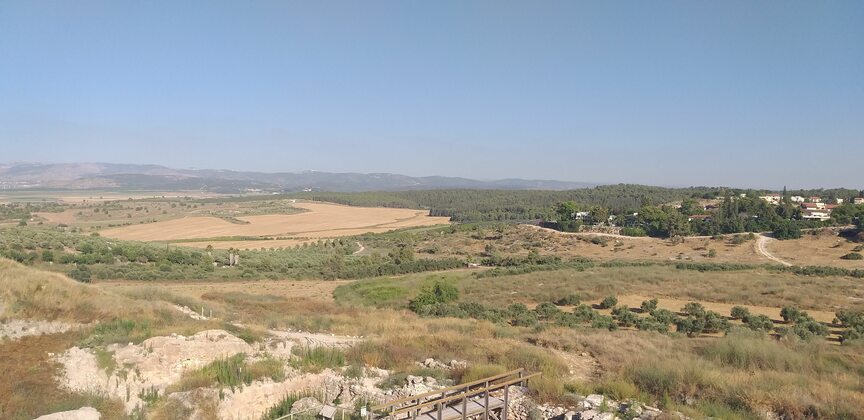 2088909d-20200625_173411