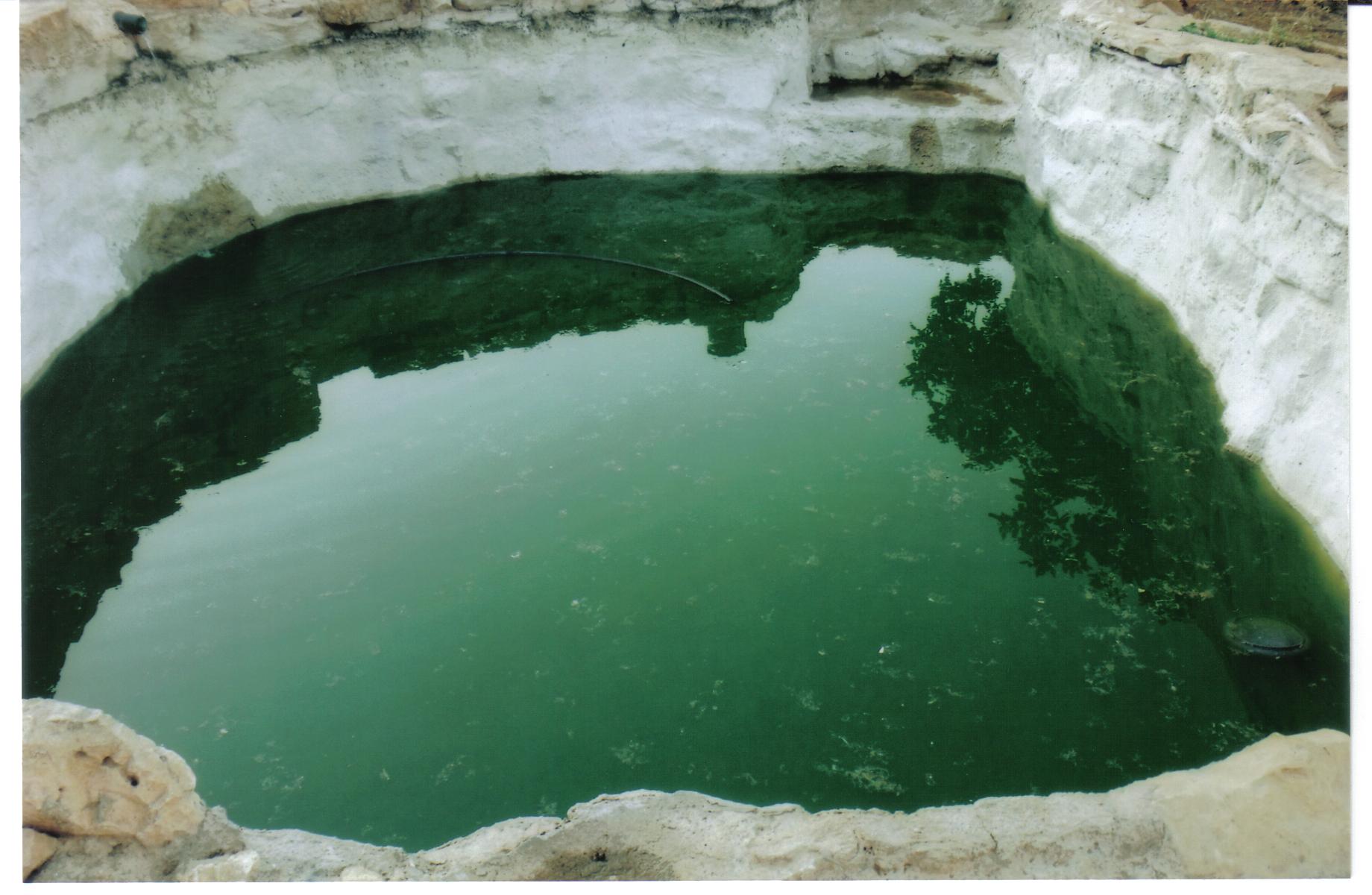 226820f5-%D7%A2%D7%99%D7%9F%20%D7%93%D7%91%D7%99%D7%A8%20018