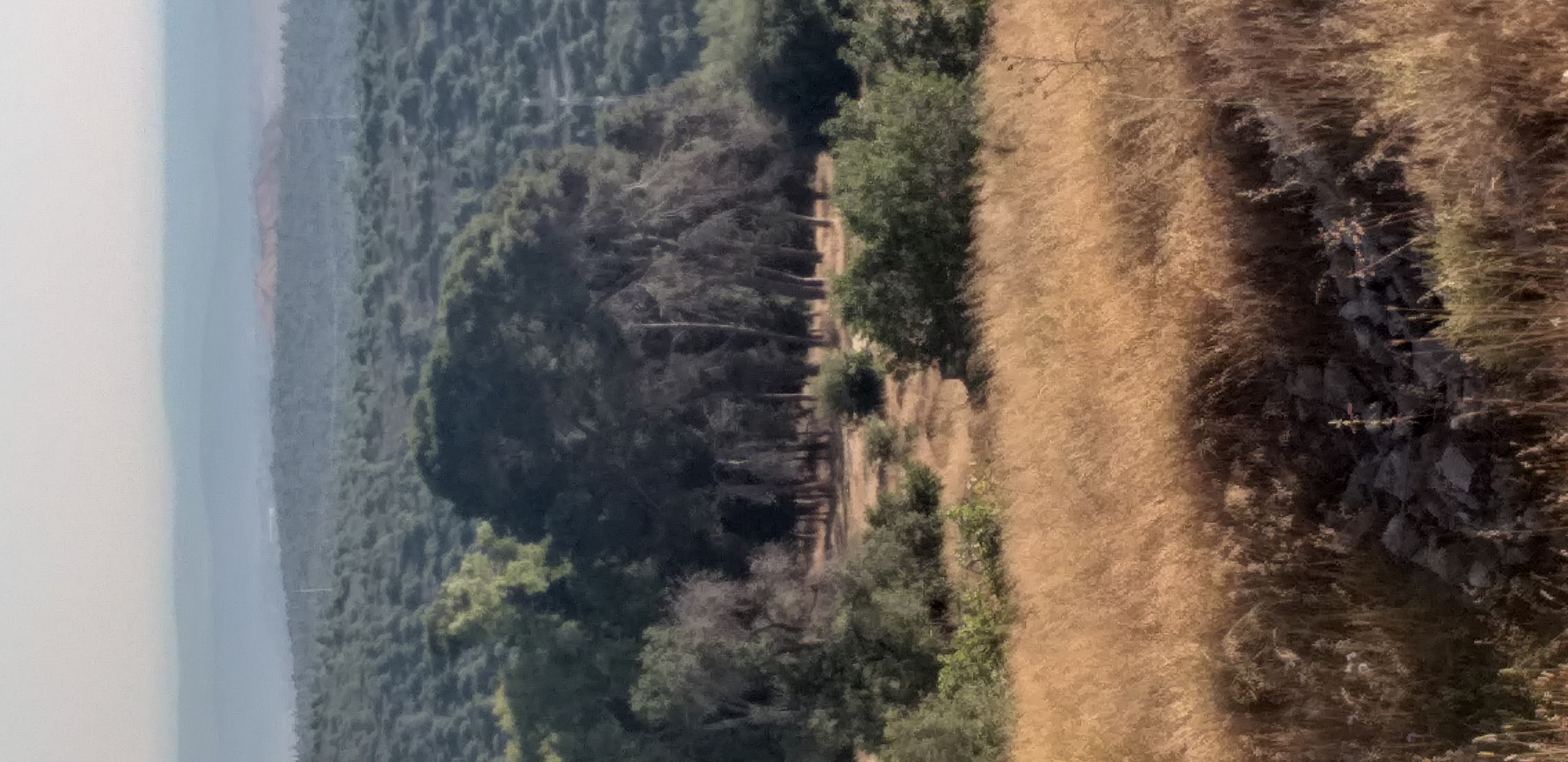 23a719a4-20220703_182849