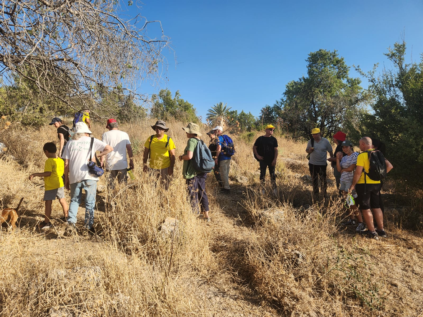 27eaae80-IMG-20240709-WA0017