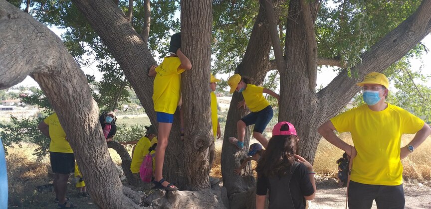 28fdd941-20200625_171353