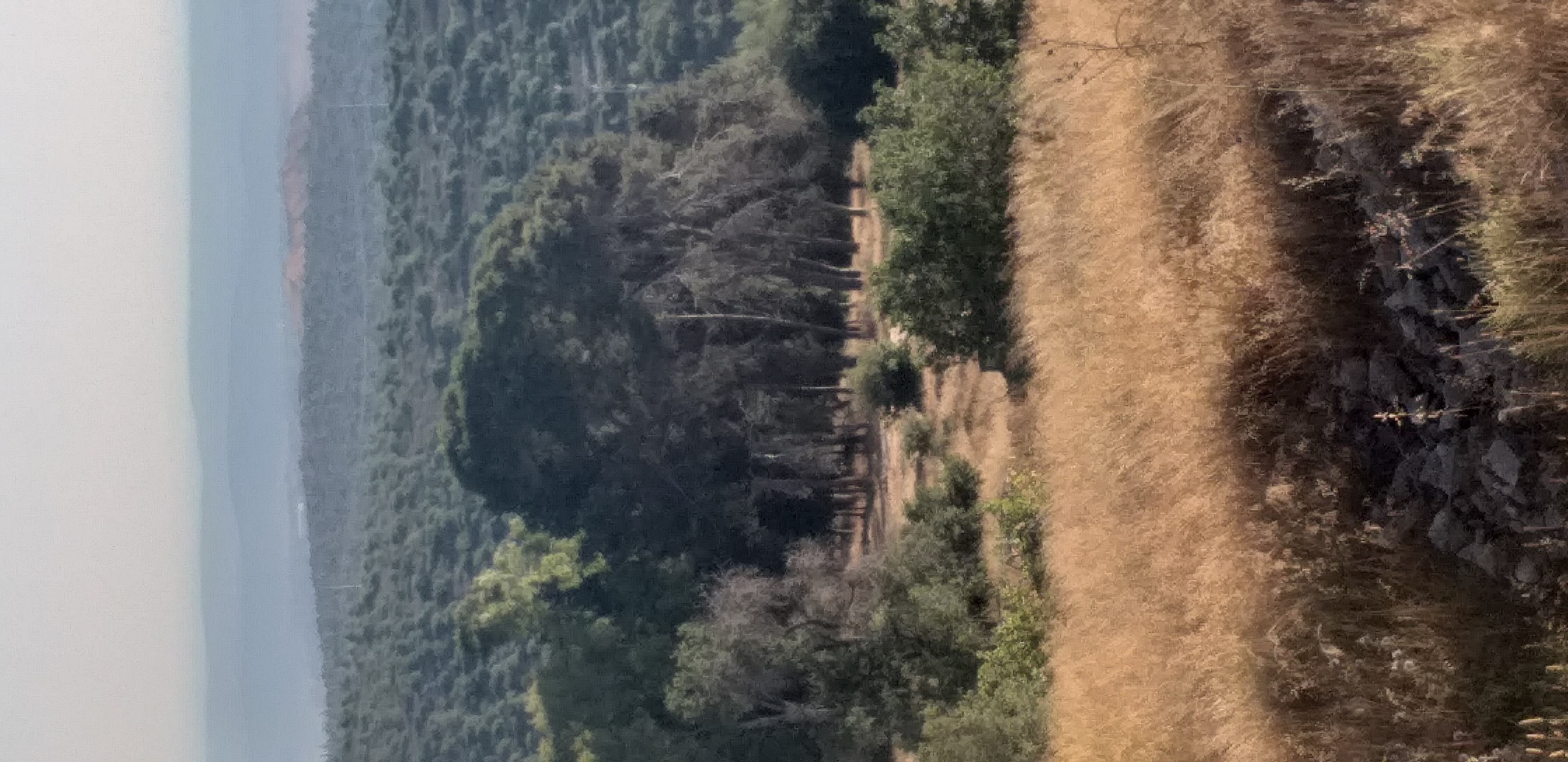 2a821550-20220703_182852