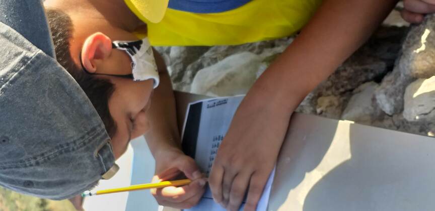 33457454-20200625_174419