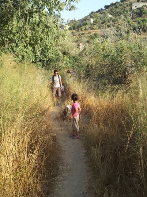 33c5e1e2-%D7%92%20%D7%91%D7%AA%D7%9E%D7%95%D7%96%20%D7%AA%D7%A9%D7%A2%D7%9132