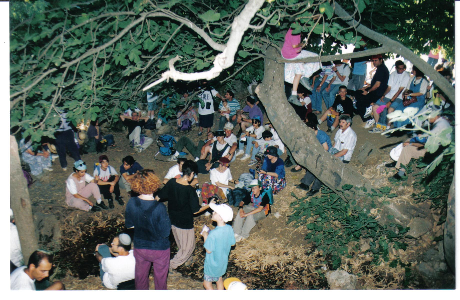 3a881b63-%D7%A2%D7%99%D7%9F%20%D7%9E%D7%98%D7%A2%20%D7%97%D7%99%D7%A8%D7%91%D7%AA%20%D7%97%D7%A0%D7%95%D7%AA%20004