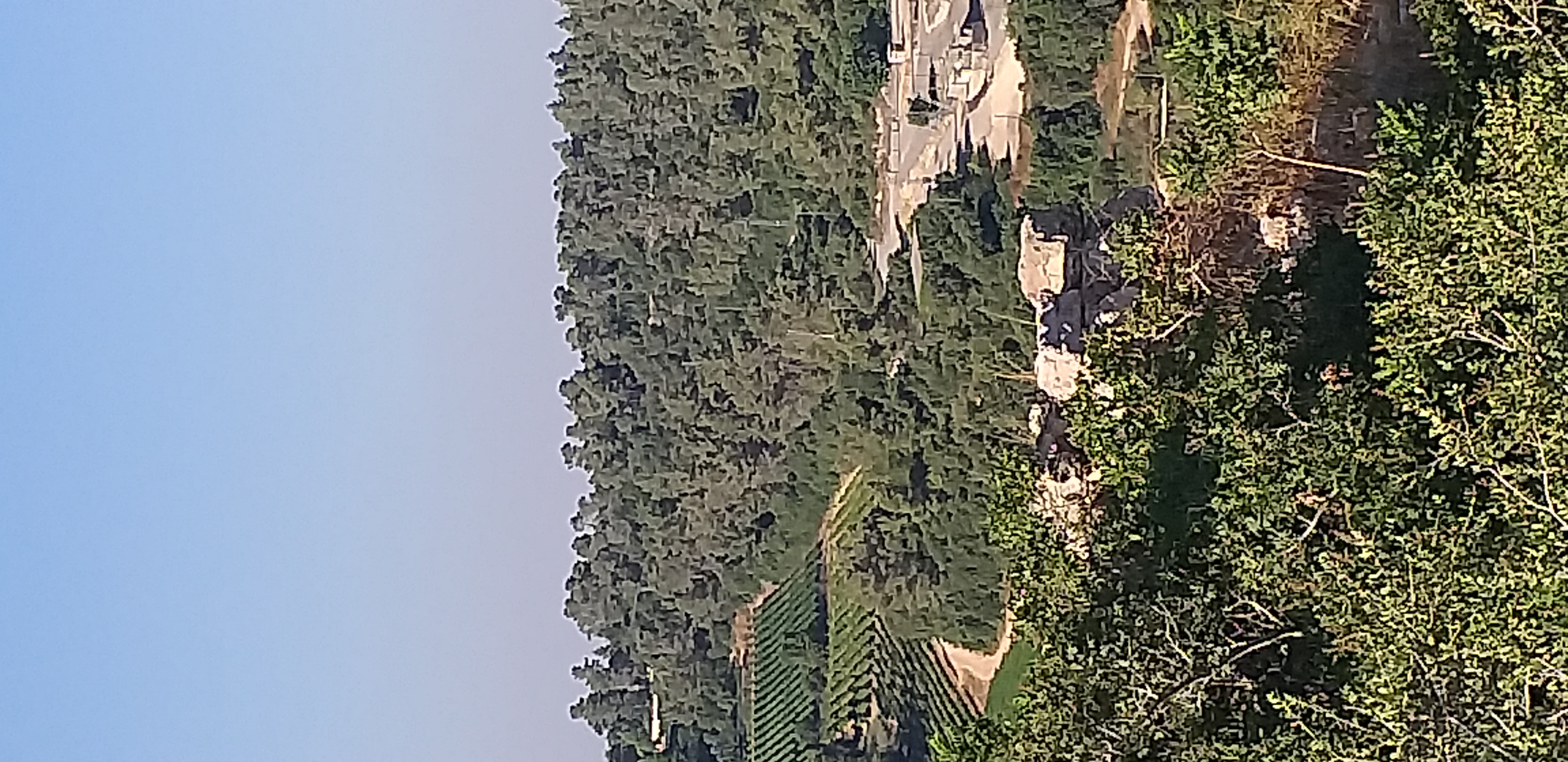 425b8a67-20220703_174952