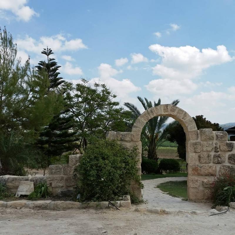 4894a7b3-%D7%9E%D7%A6%D7%A4%D7%94%20%D7%9B%D7%A8%D7%9E%D7%99%D7%9D