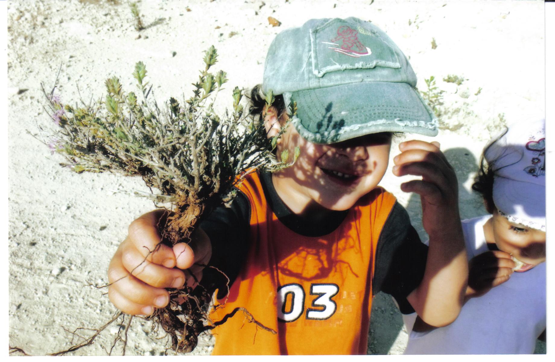 4aff64bc-%D7%A2%D7%99%D7%9F%20%D7%93%D7%91%D7%99%D7%A8%20014