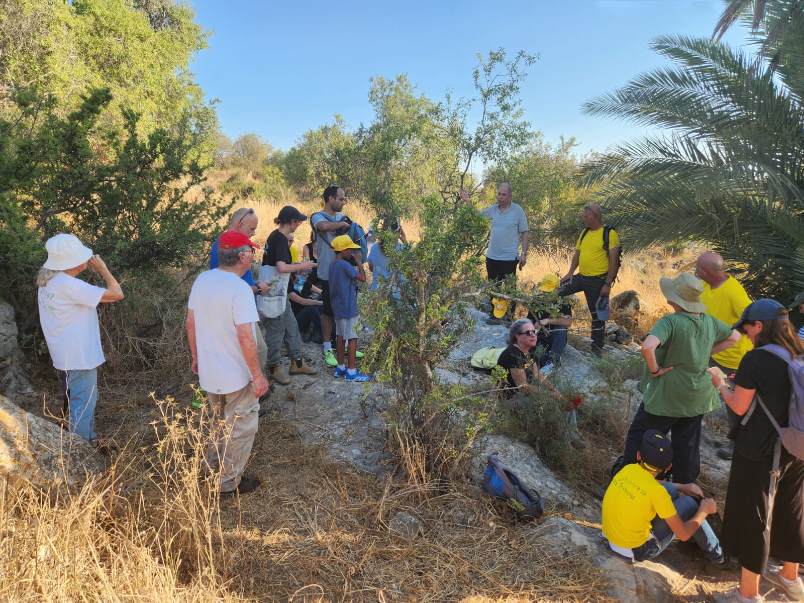 53e81891-IMG-20240709-WA0020