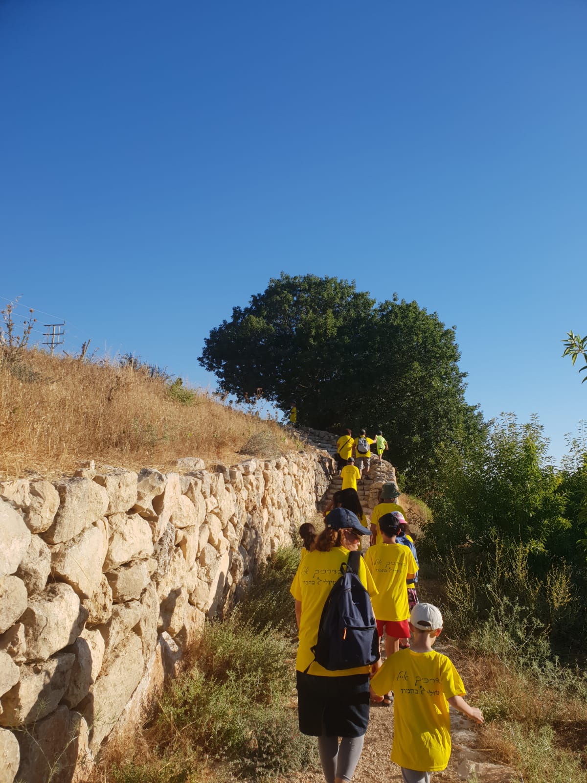 62b75e8c-IMG-20190705-WA0009%20(1)