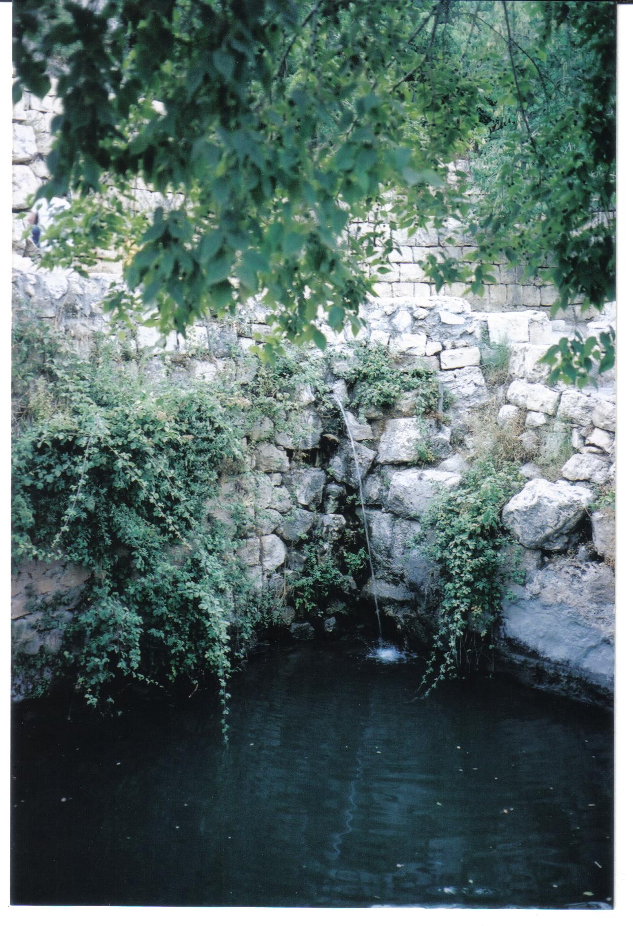 6a696b32-%D7%9E%D7%A2%D7%99%D7%9F%20%D7%94%D7%A1%D7%98%D7%A3%20003