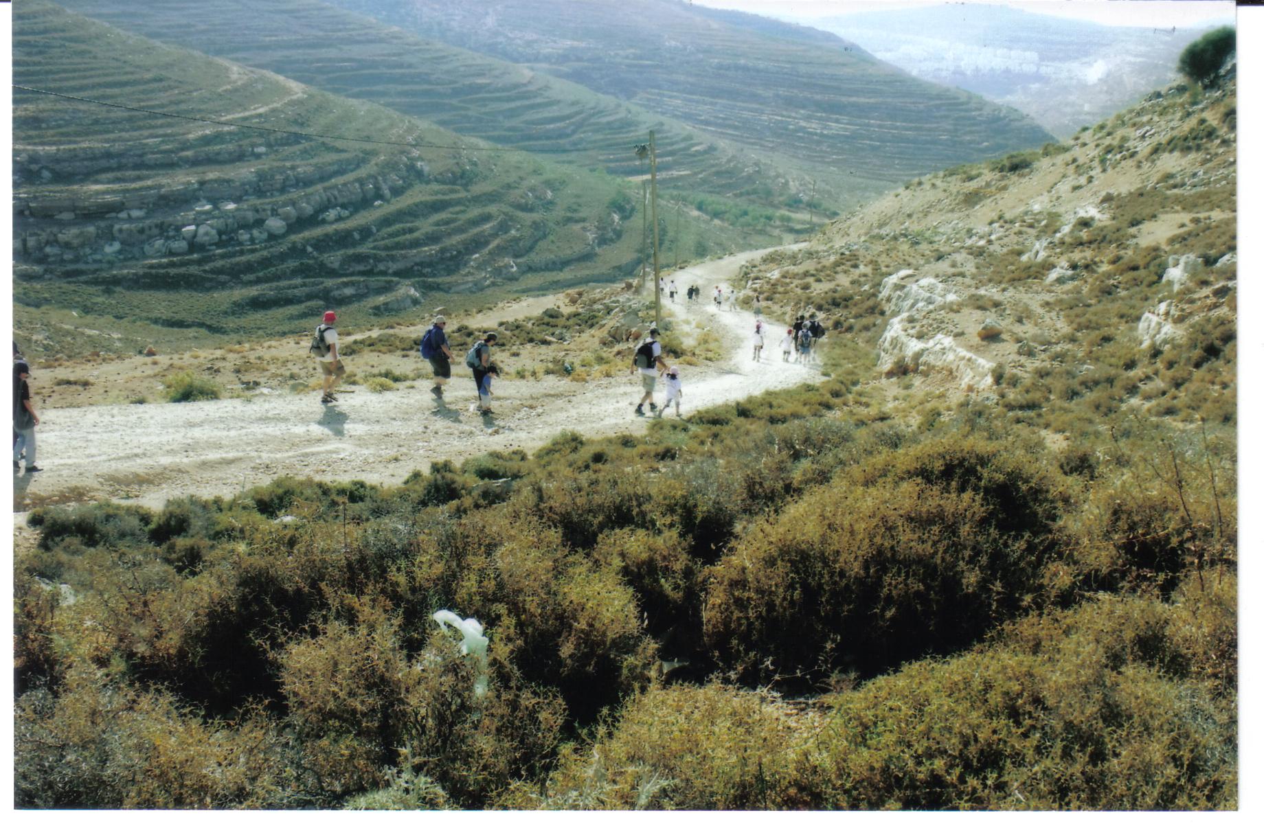 741f3f7c-%D7%A2%D7%99%D7%9F%20%D7%93%D7%91%D7%99%D7%A8%20010