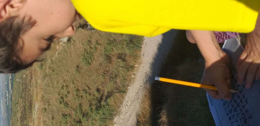 8090e78d-20200625_174539