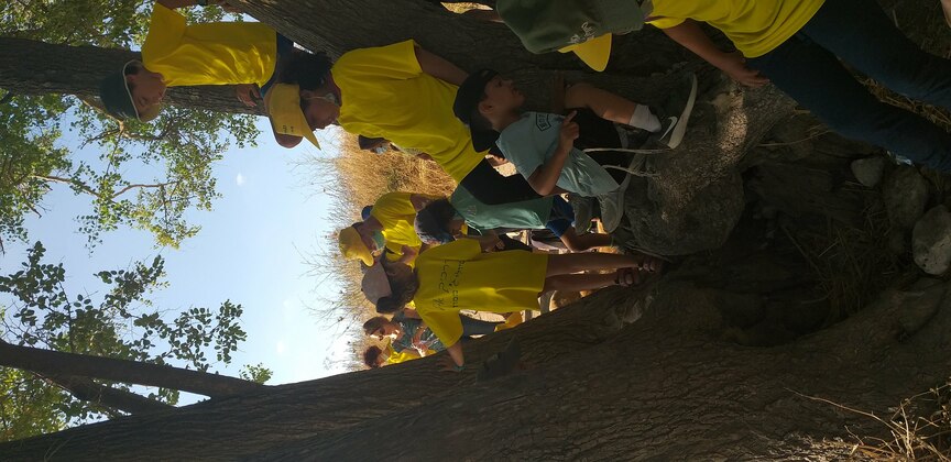 8489aacf-20200625_171654