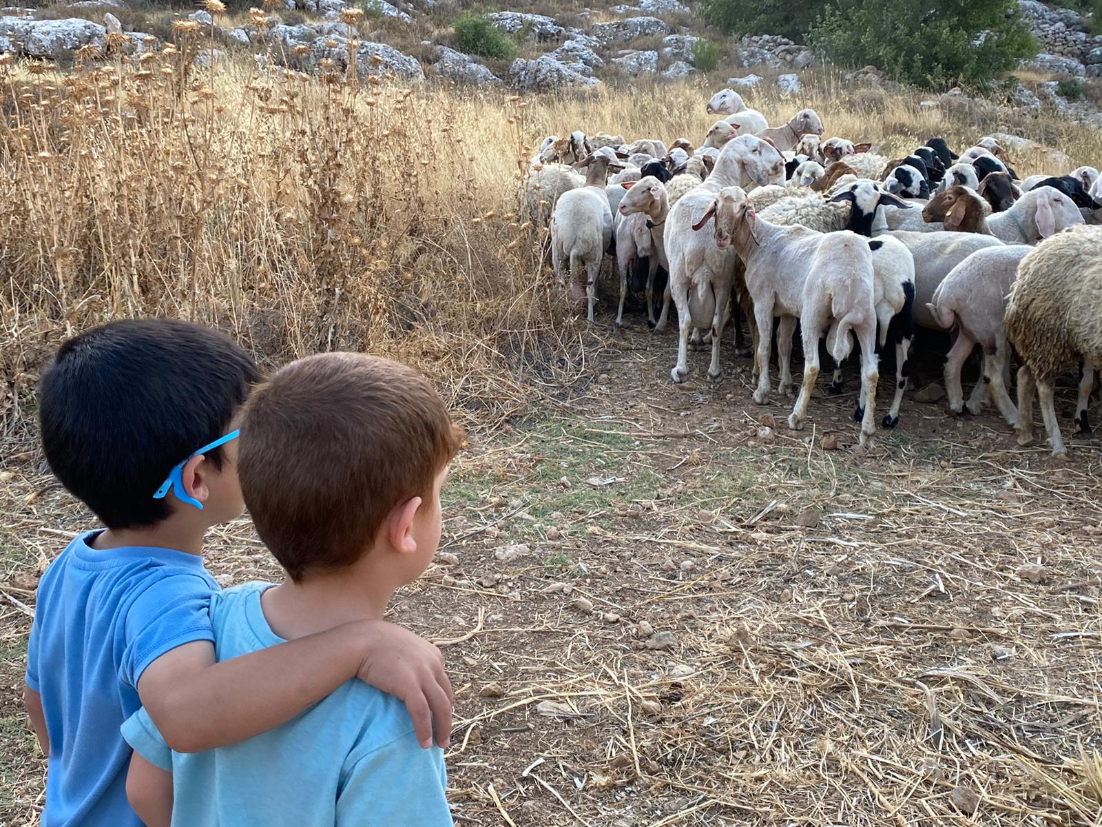 8a553cb6-IMG-20210613-WA0044