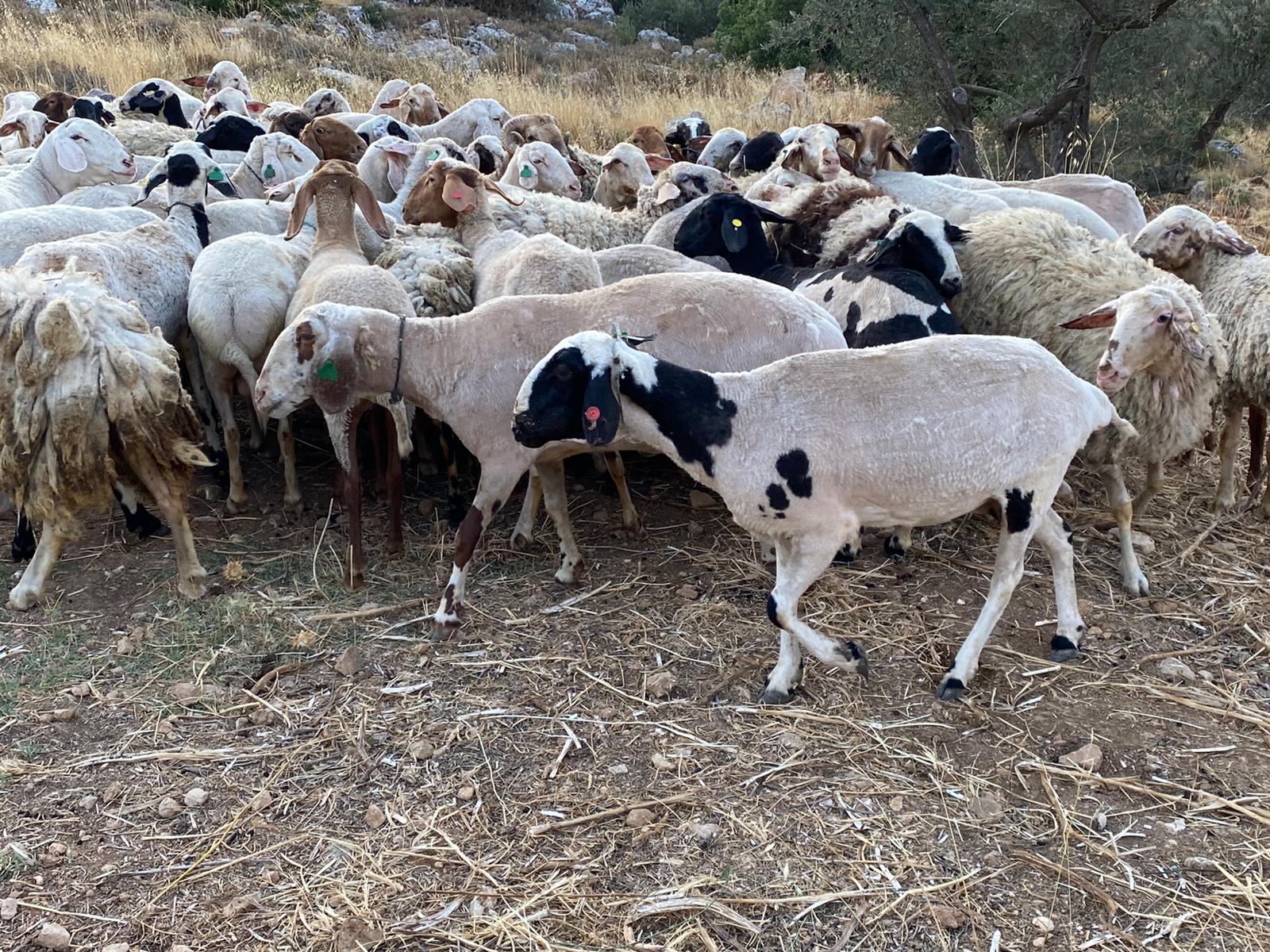 8fbec80e-IMG-20210613-WA0045