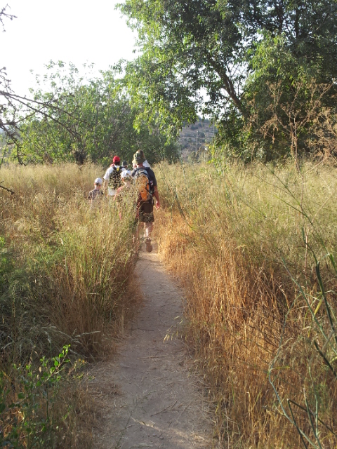 9327aecc-%D7%92%20%D7%91%D7%AA%D7%9E%D7%95%D7%96%20%D7%AA%D7%A9%D7%A2%D7%9133