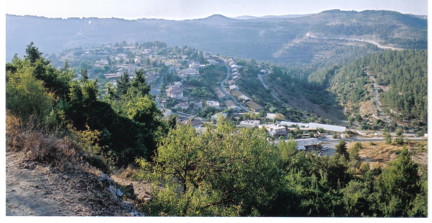 955eb30e-%D7%9E%D7%A2%D7%99%D7%99%D7%A0%D7%95%D7%AA%20%D7%91%D7%A8%D7%9B%D7%A1%20%D7%90%D7%95%D7%A8%D7%94%20%D7%95%D7%A2%D7%9E%D7%99%D7%A0%D7%93%D7%91%20010