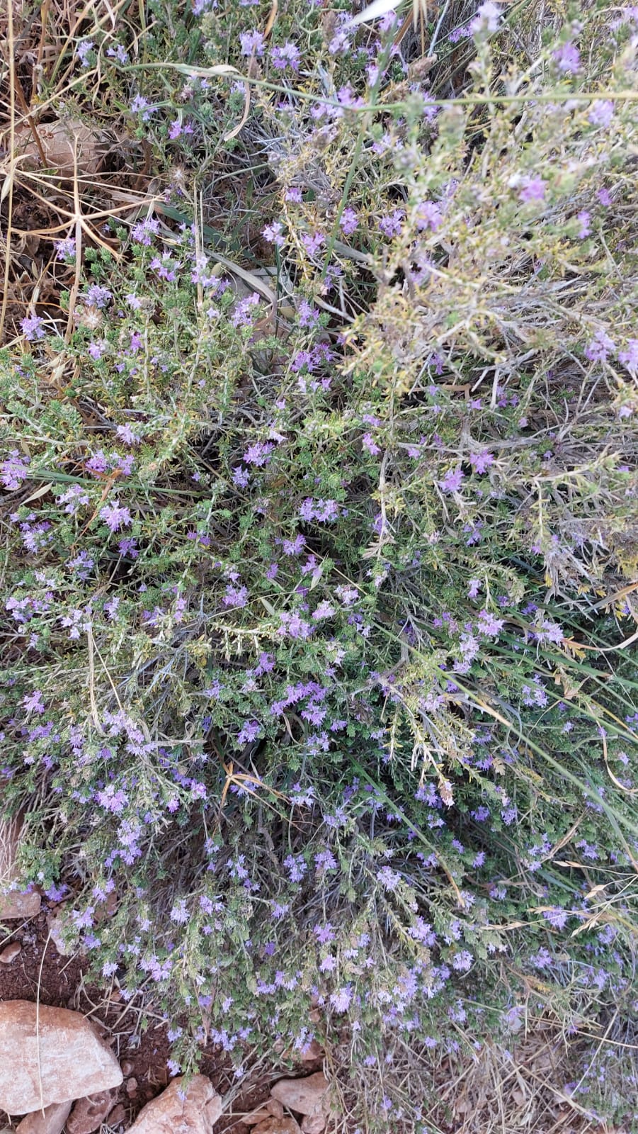 96843b81-IMG-20230623-WA0042