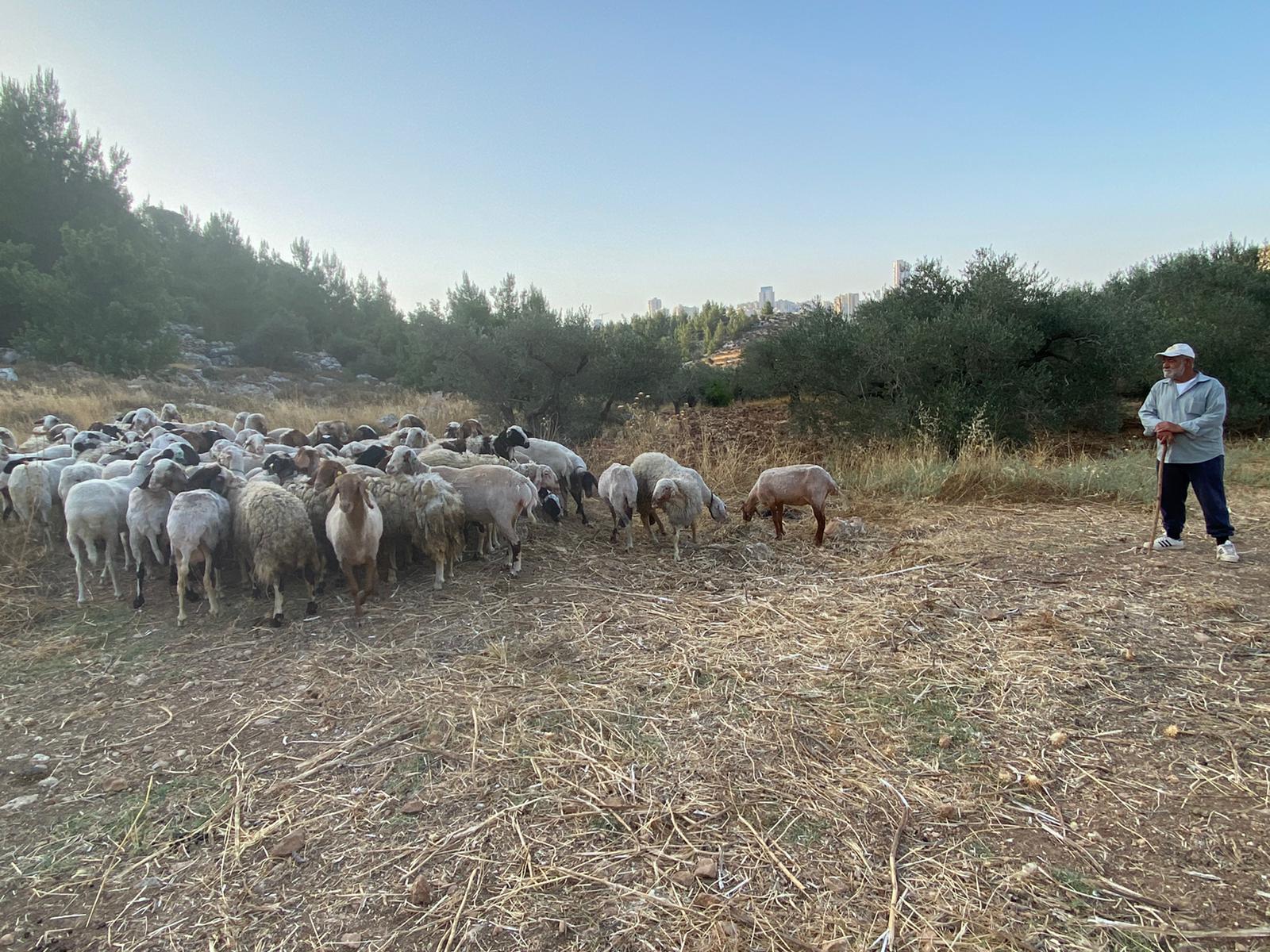 9b35ec4e-IMG-20210613-WA0046