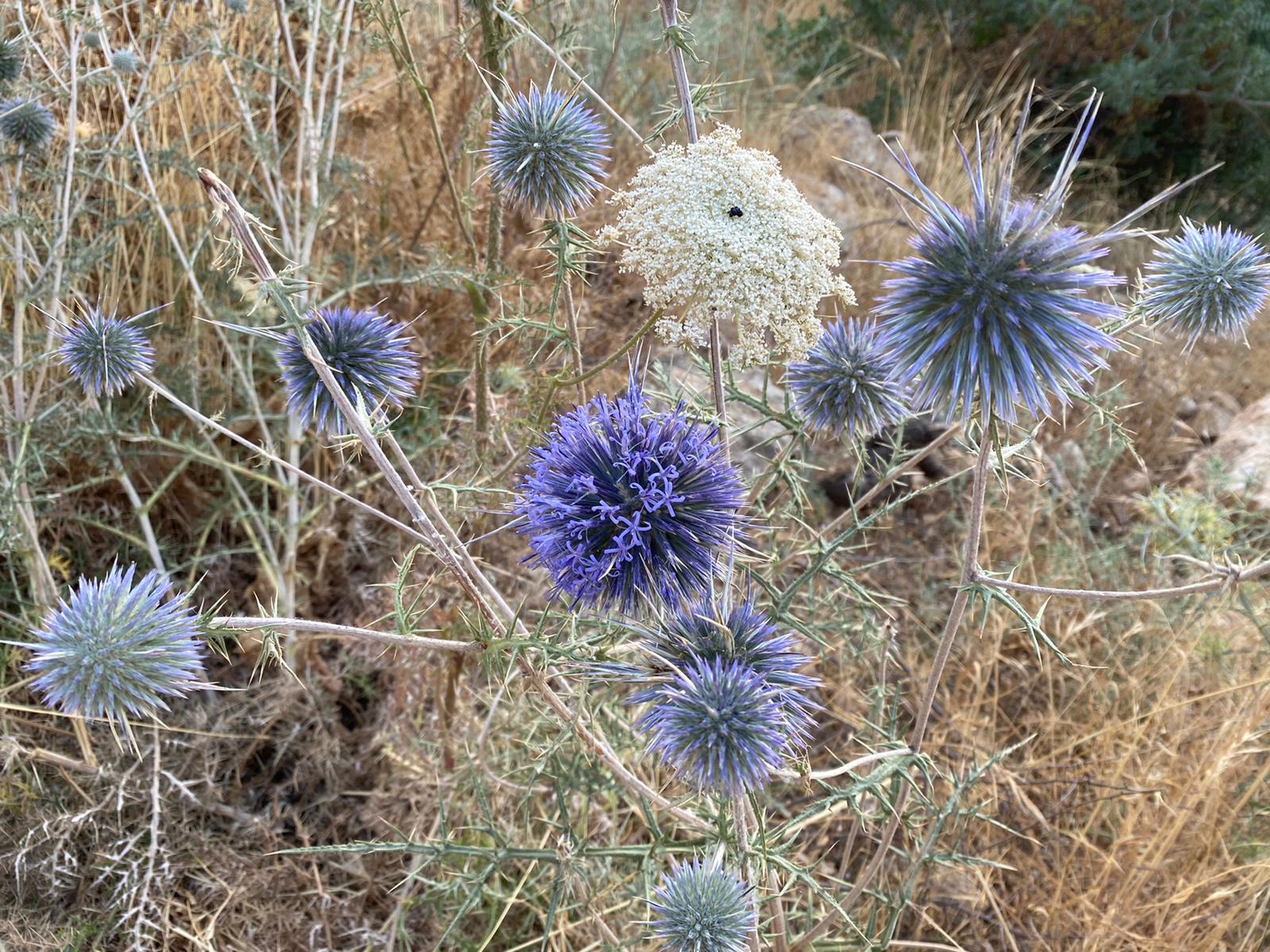 9fdc20c5-IMG-20210613-WA0033