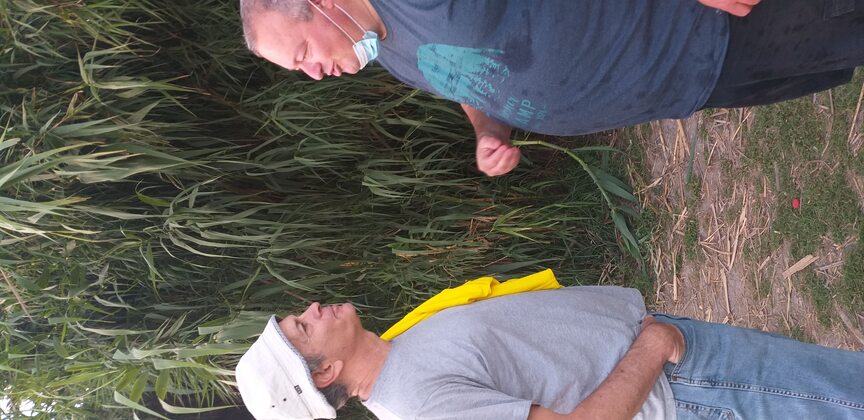 abe2ee0b-20200625_193319