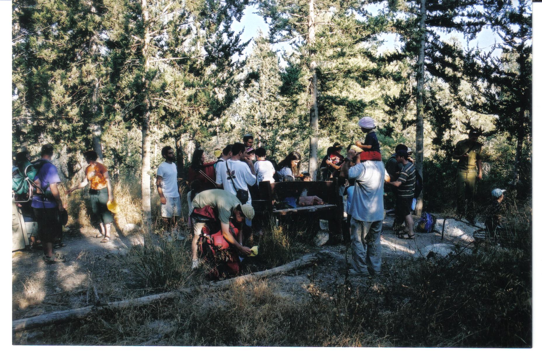 b5d03b1b-%D7%A4%D7%90%D7%A8%D7%A7%20%D7%91%D7%A8%D7%99%D7%98%D7%A0%D7%99%D7%94%20002