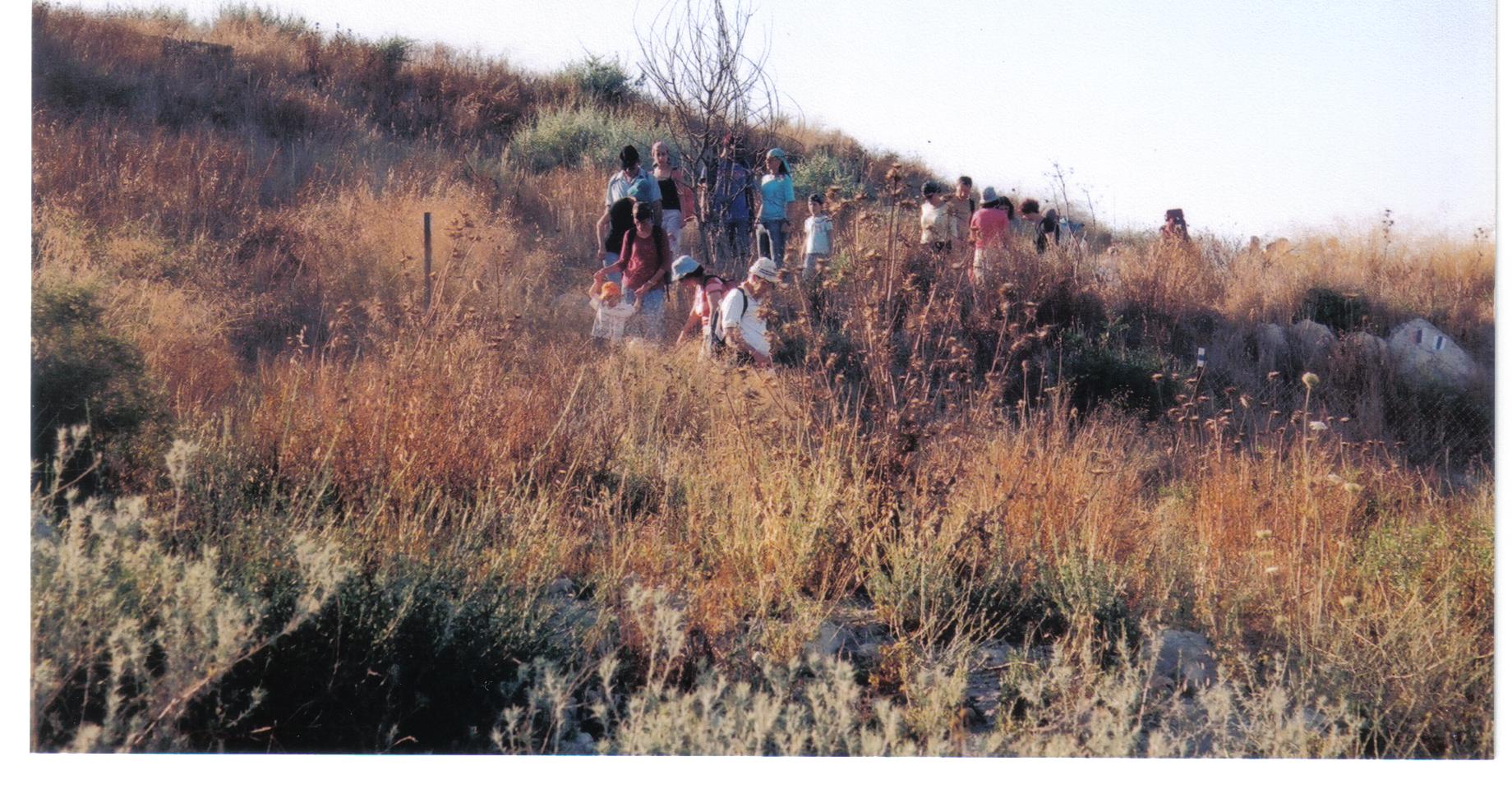 bc97df41-%D7%A0%D7%97%D7%9C%20%D7%A0%D7%97%D7%A9%D7%95%D7%9F%20%20%D7%9E%D7%9E%D7%A0%D7%96%D7%A8%20%D7%9C%D7%98%D7%A8%D7%95%D7%9F%20%D7%95%D7%A2%D7%93%20%D7%A2%D7%99%D7%9F%20%D7%97%D7%99%D7%9C%D7%95%20007