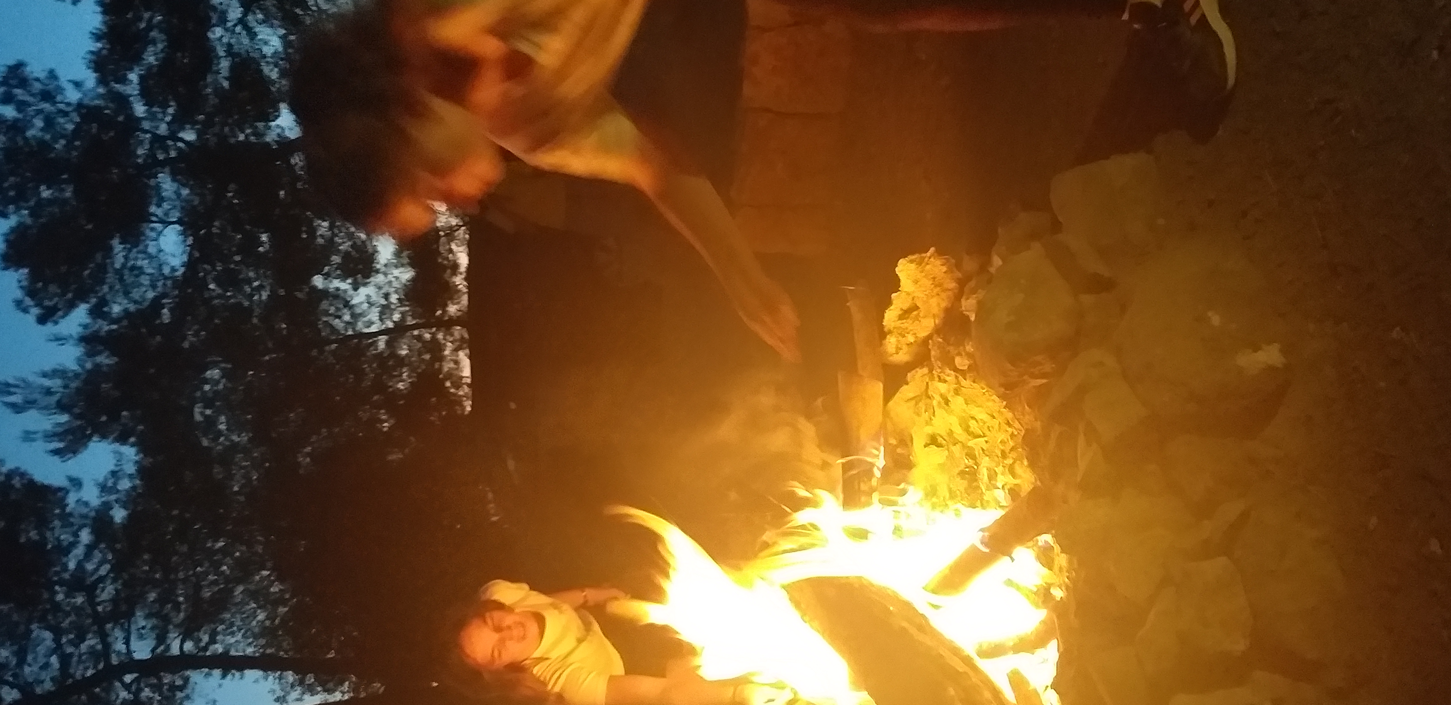 cb106fd3-20220703_202239