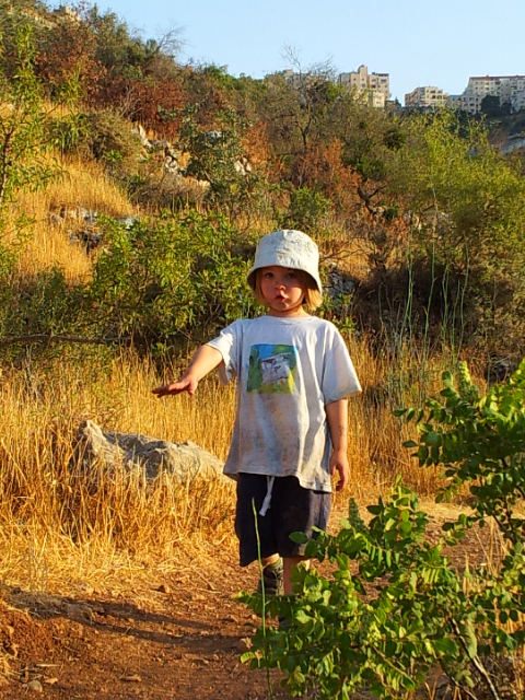 ceb5aba3-%D7%92%20%D7%91%D7%AA%D7%9E%D7%95%D7%96%20%D7%AA%D7%A9%D7%A2%D7%9129