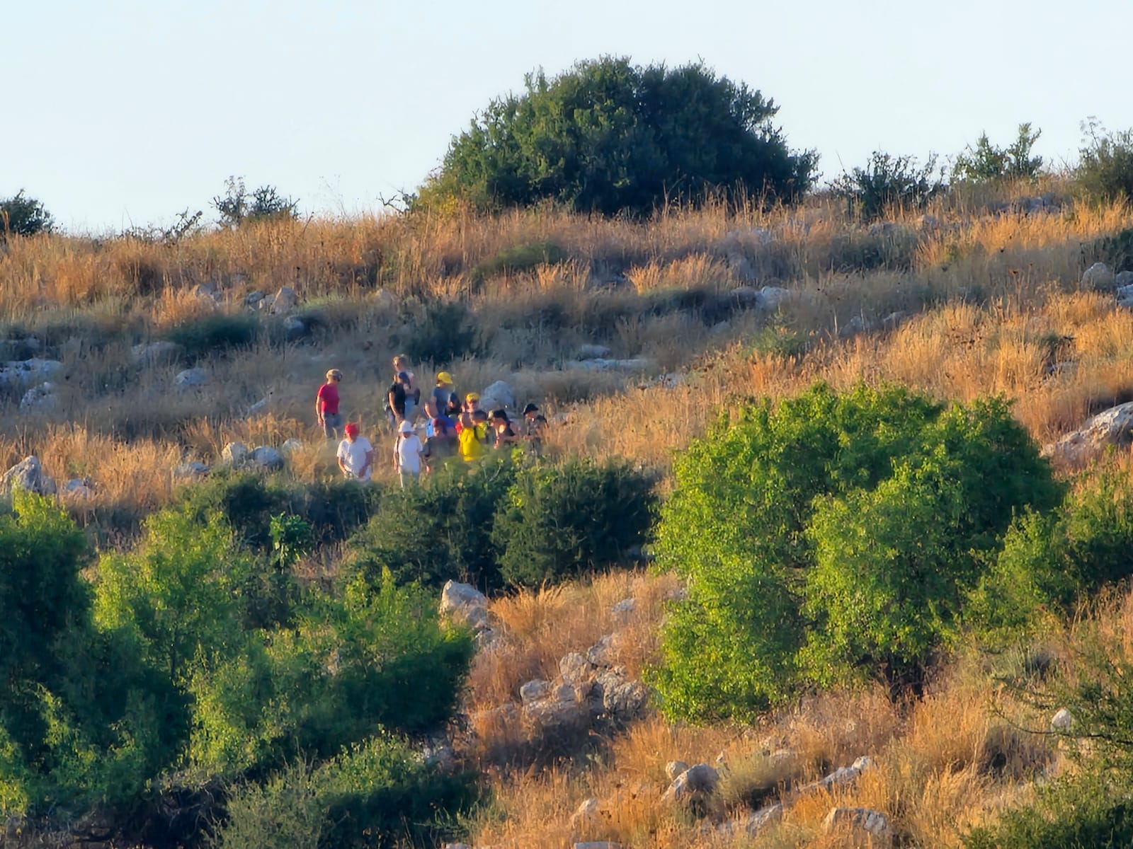 d27a04ff-IMG-20240709-WA0074