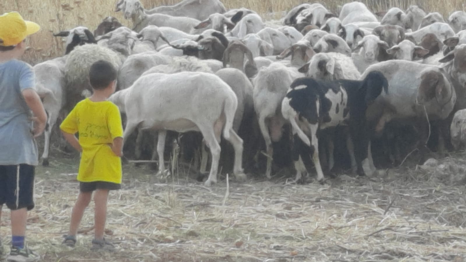 d4172f9c-IMG-20210613-WA0010