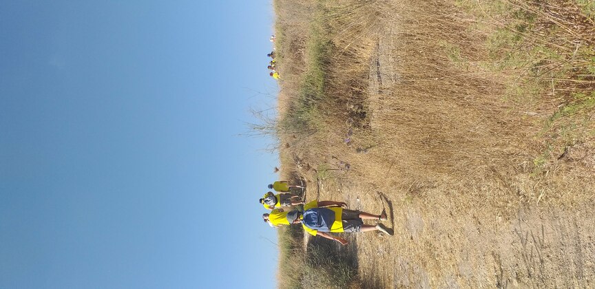 d52c5671-20200625_172746