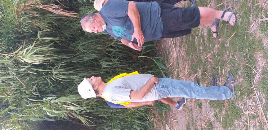 f0975823-20200625_193325