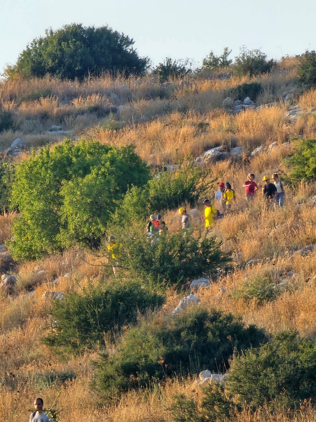 f8582d11-IMG-20240709-WA0062