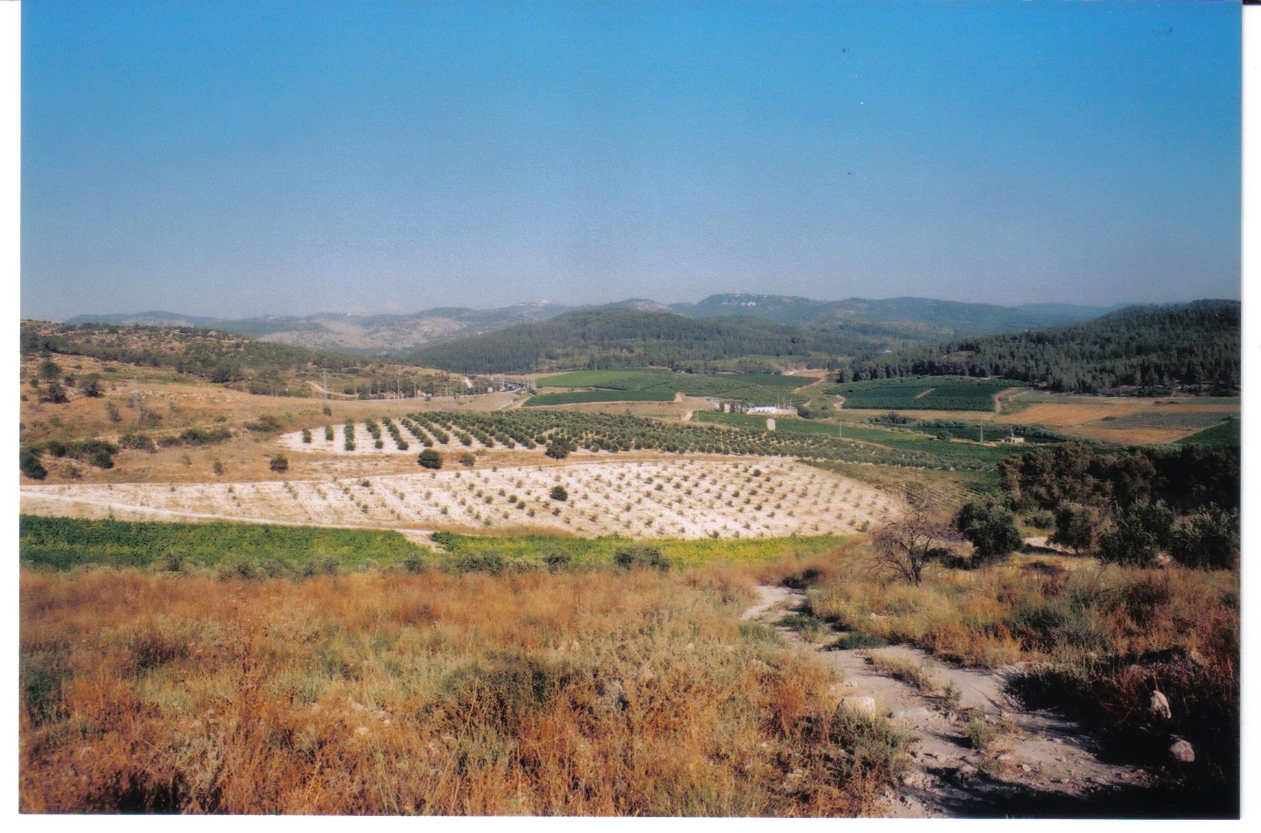 fb259cb2-%D7%A0%D7%97%D7%9C%20%D7%A0%D7%97%D7%A9%D7%95%D7%9F%20%20%D7%9E%D7%9E%D7%A0%D7%96%D7%A8%20%D7%9C%D7%98%D7%A8%D7%95%D7%9F%20%D7%95%D7%A2%D7%93%20%D7%A2%D7%99%D7%9F%20%D7%97%D7%99%D7%9C%D7%95%20006